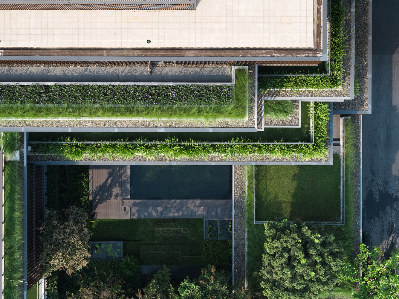 泰国 曼谷农作物木条纹办公室---酷图编号1211647