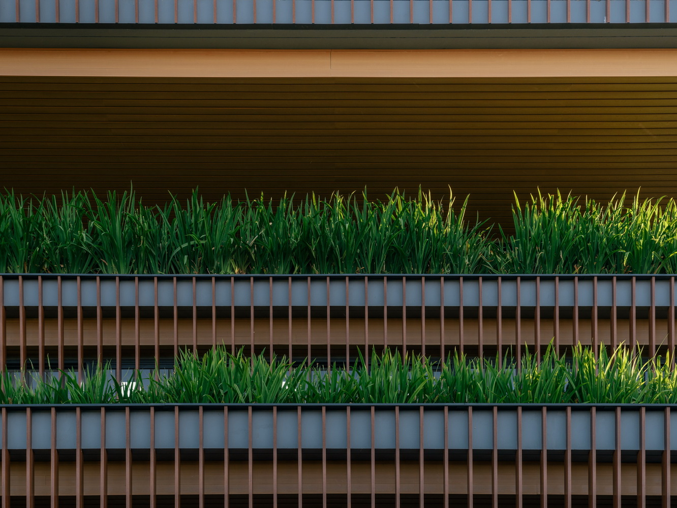 泰国 曼谷农作物木条纹办公室---酷图编号1211650