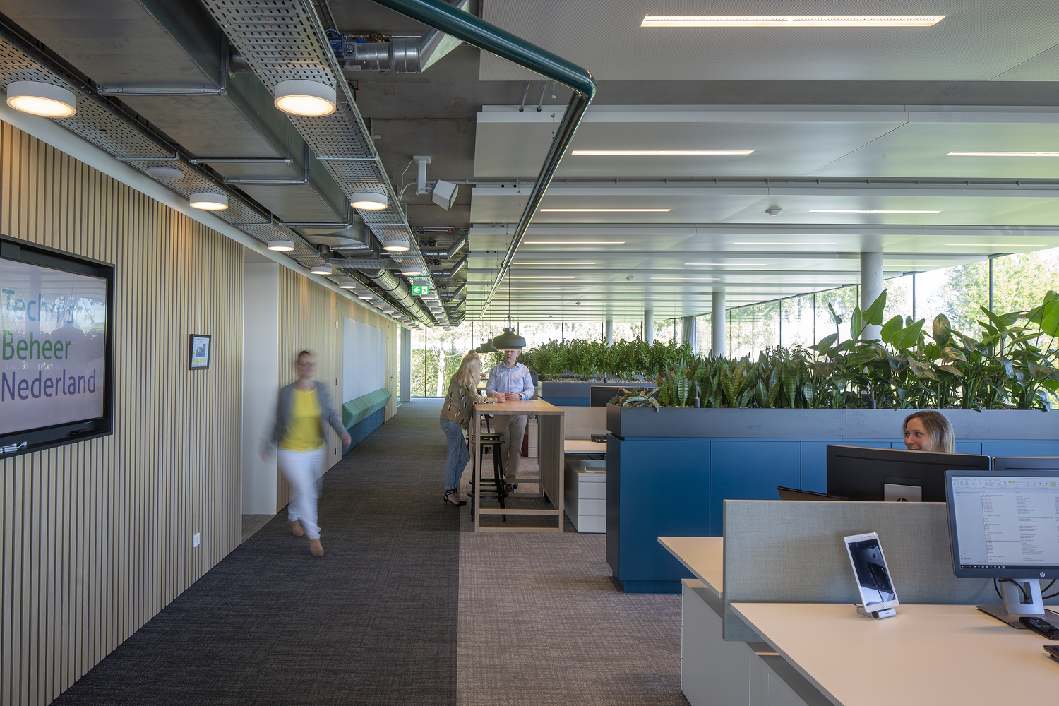 荷兰1600平米全玻璃曲面住宅---酷图编号8