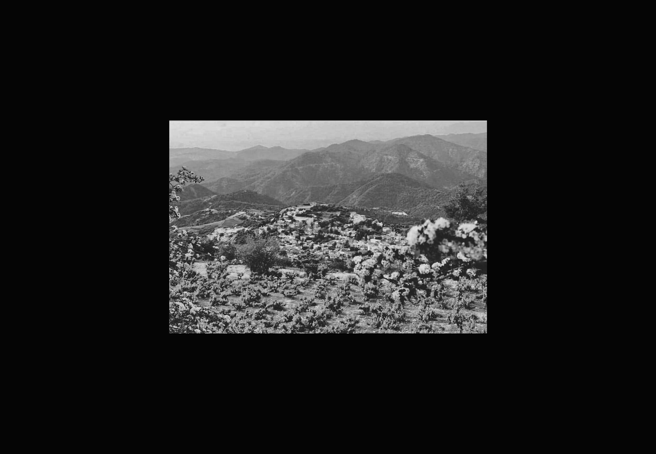 Vouni Panayia Winery通过一系列微观认证设计的葡萄酒---酷图编号15