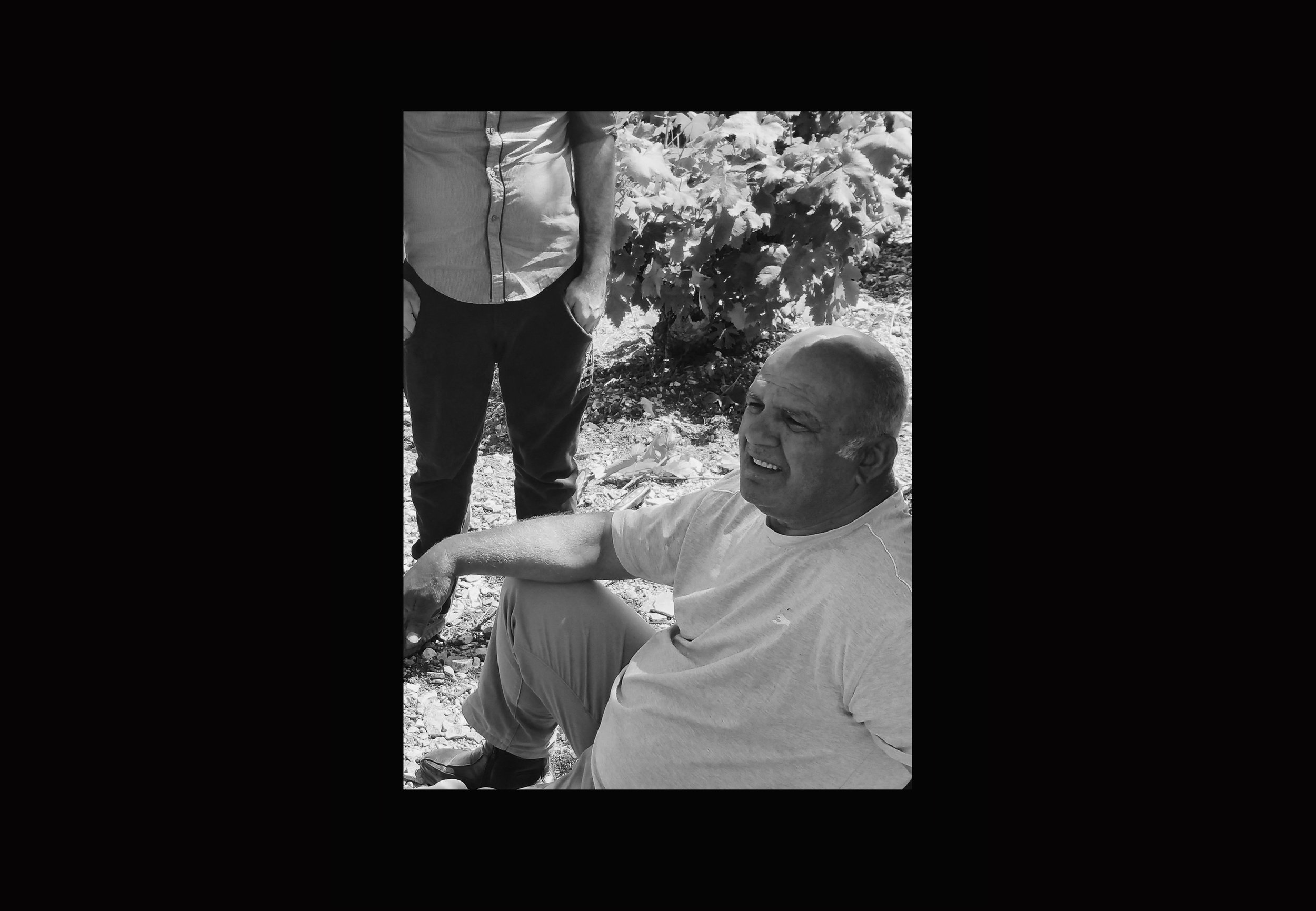 Vouni Panayia Winery通过一系列微观认证设计的葡萄酒---酷图编号7