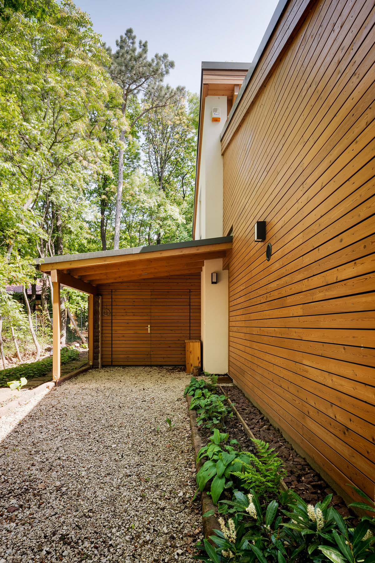 FOREST HOUSE-森林屋---酷图编号13