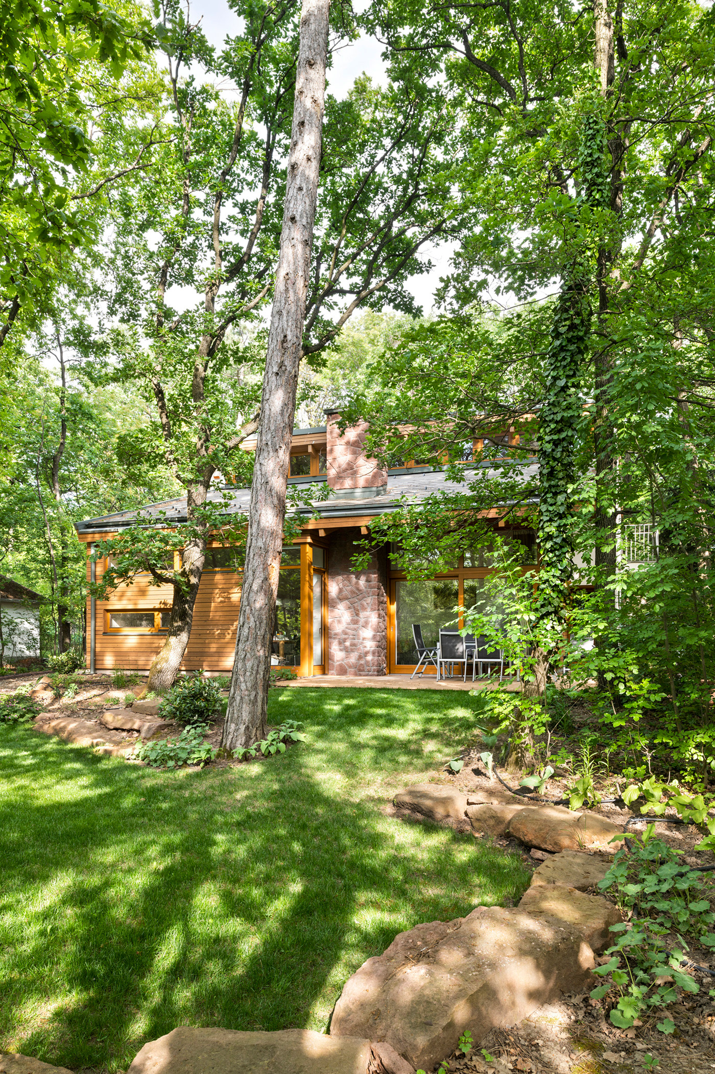 FOREST HOUSE-森林屋---酷图编号2