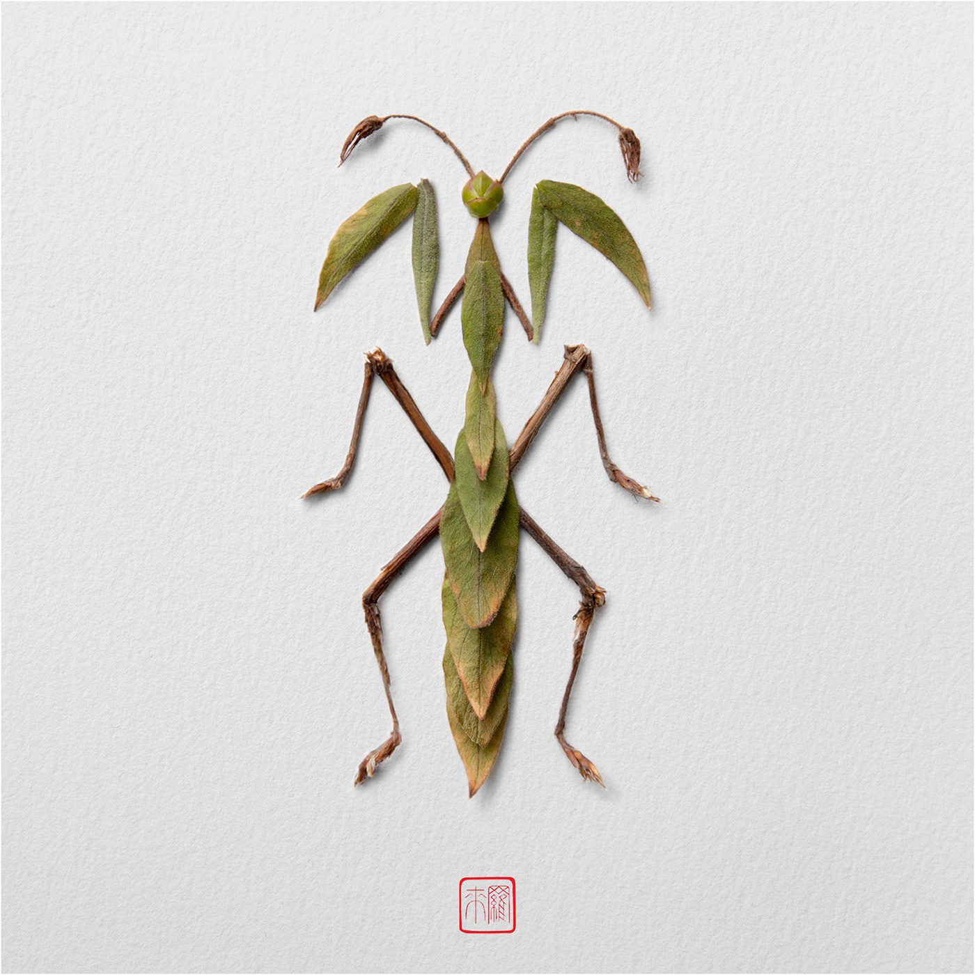 NATURA INSECTS 一系列手工制作的花卉昆虫---酷图编号12