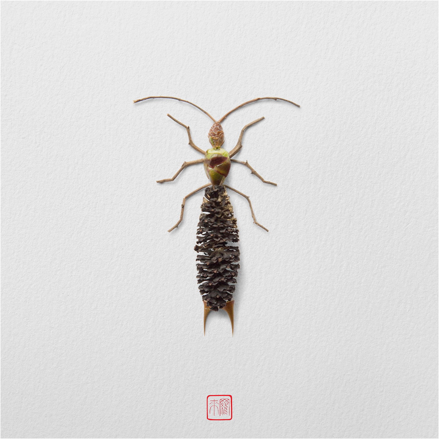NATURA INSECTS 一系列手工制作的花卉昆虫---酷图编号11