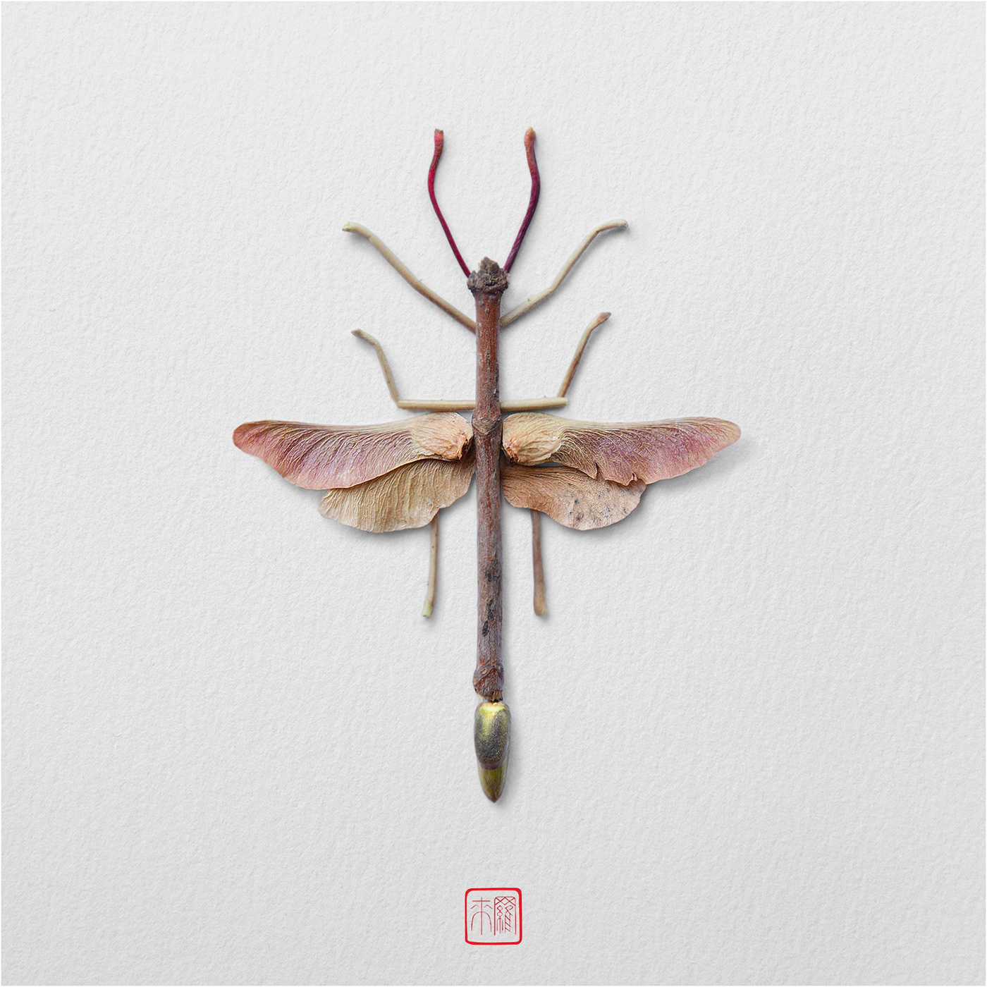 谁说昆虫不能美美哒？这位艺术家手作的昆虫竹细工美到令人惊叹 - 知乎