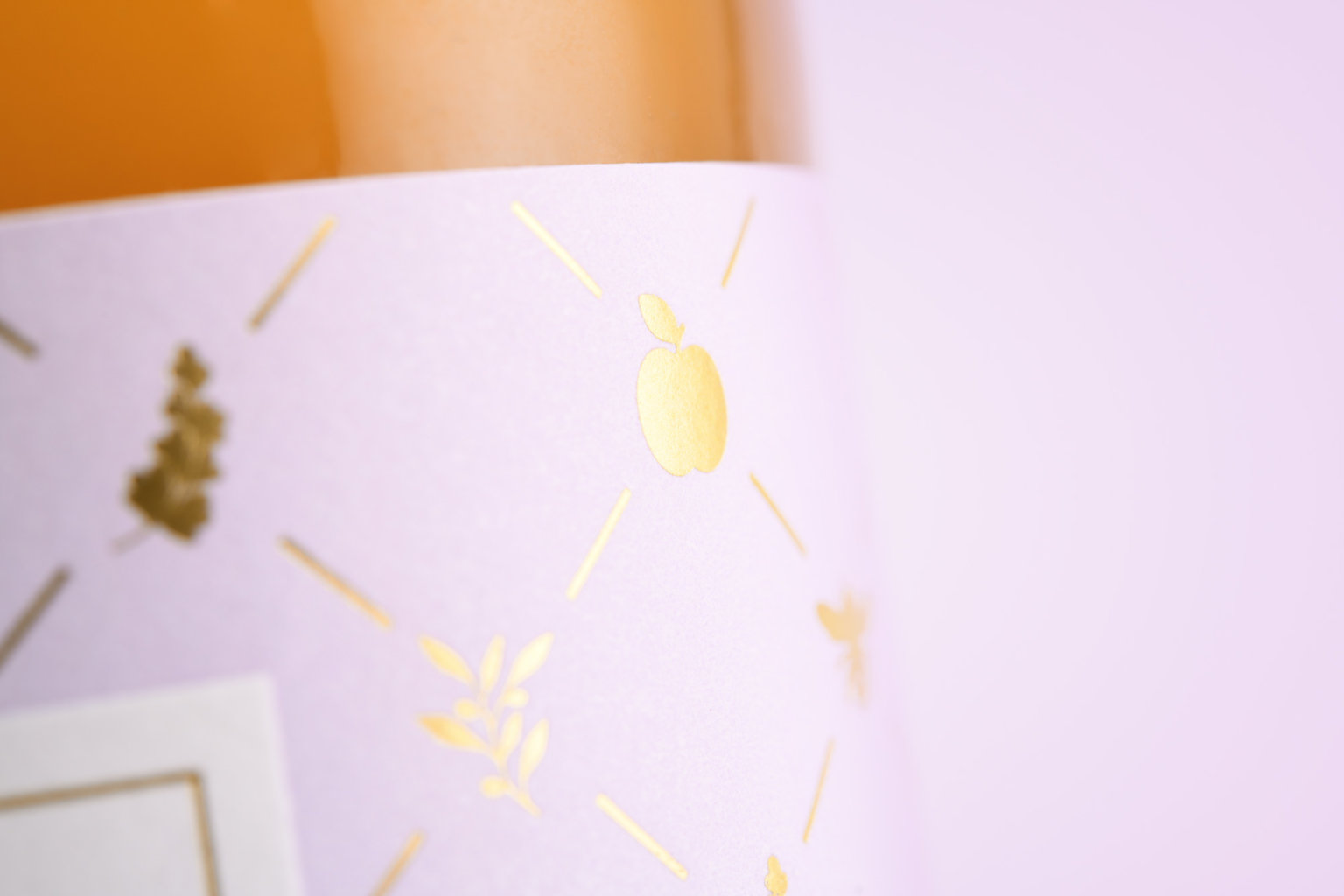 Chica果汁饮料---酷图编号8