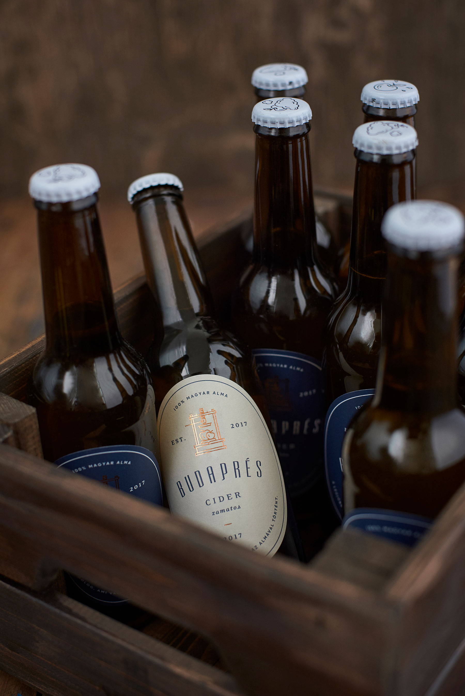 配有干净视觉醒目标签的匈牙利BudaprésCider苹果酒---酷图编号11