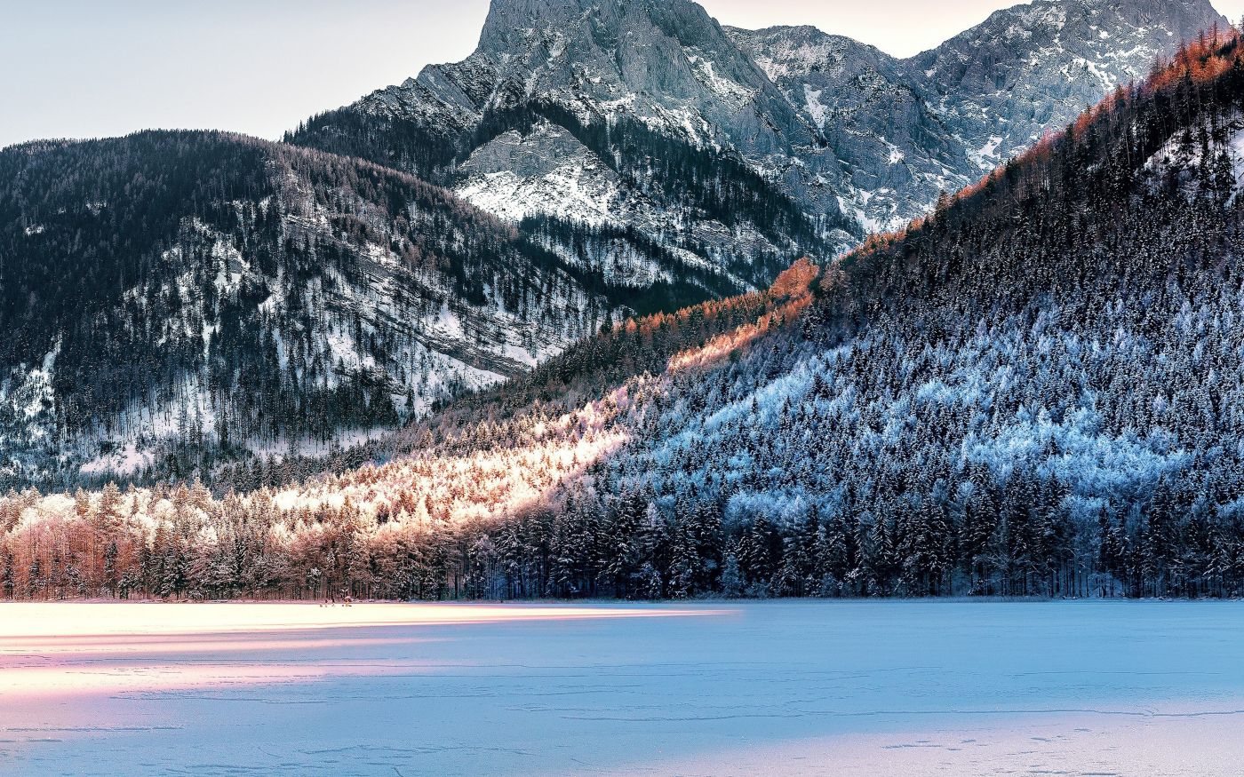 高清晰雪山松林壁纸图片