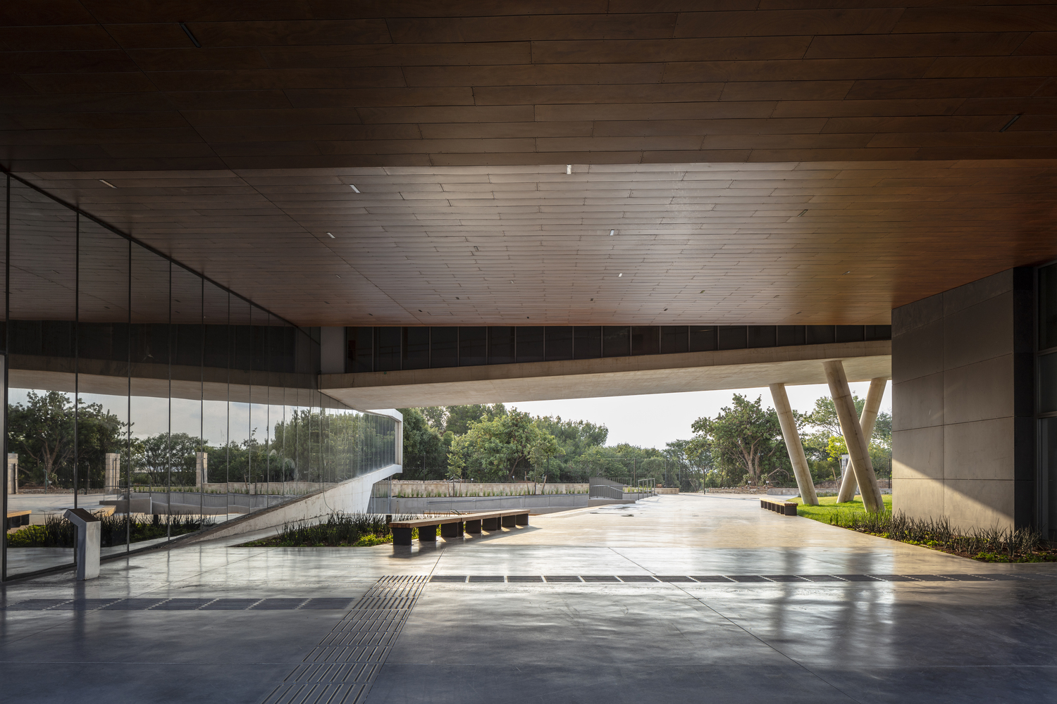 以色列斯坦哈特文化学院・自然历史博物馆---酷图编号21