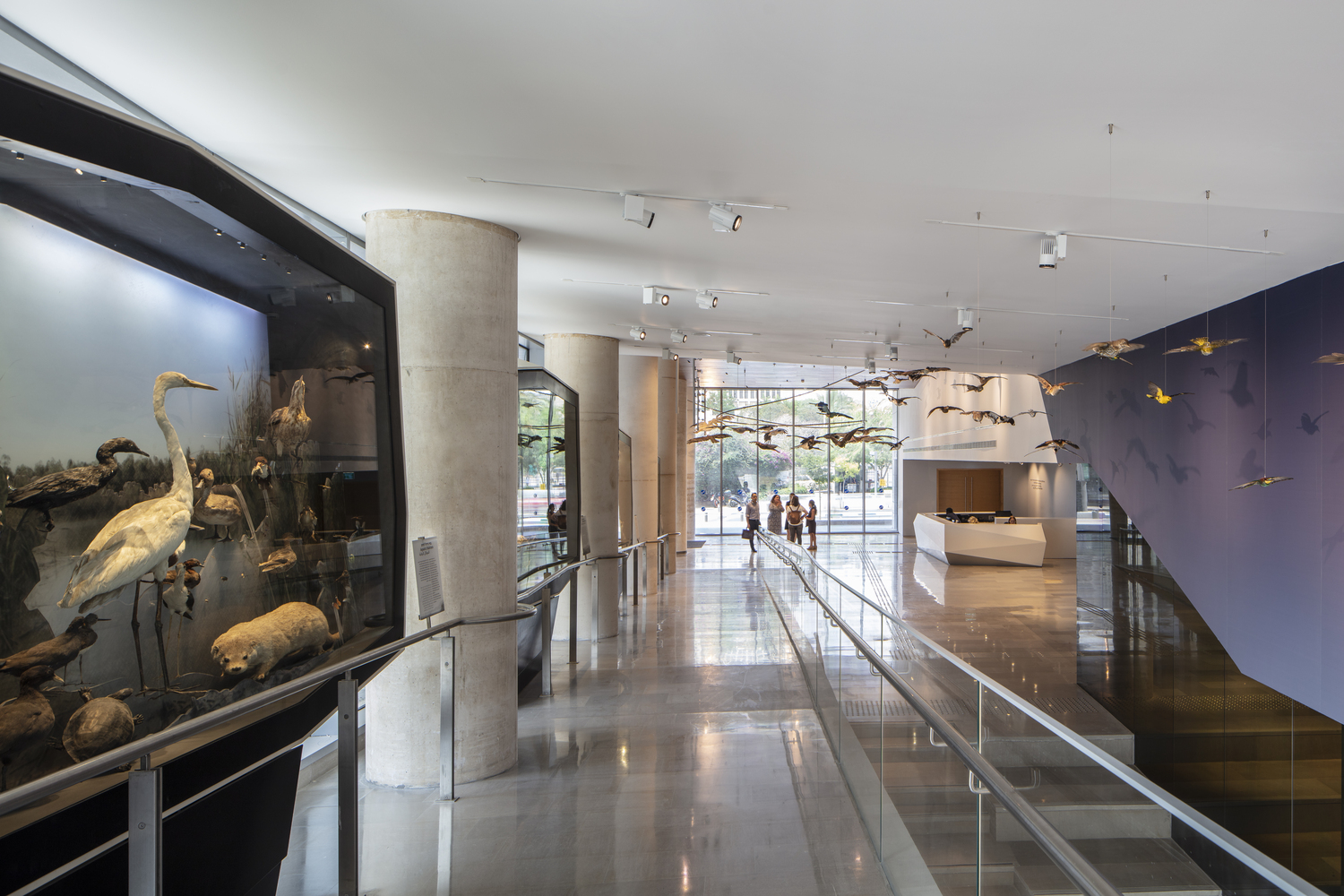 以色列斯坦哈特文化学院・自然历史博物馆---酷图编号15