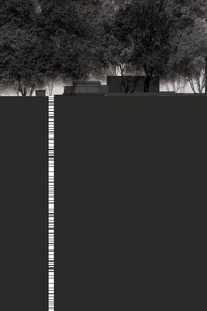 台湾自然治愈系空间设计---酷图编号1228918