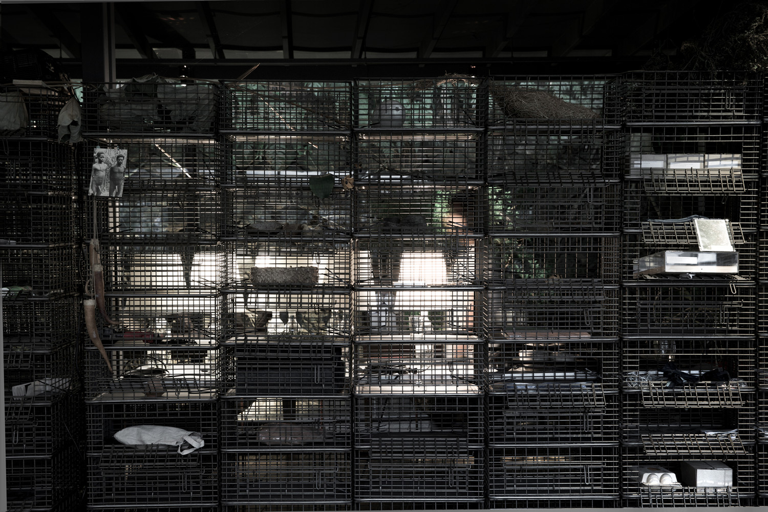 台湾自然治愈系空间设计---酷图编号1228927