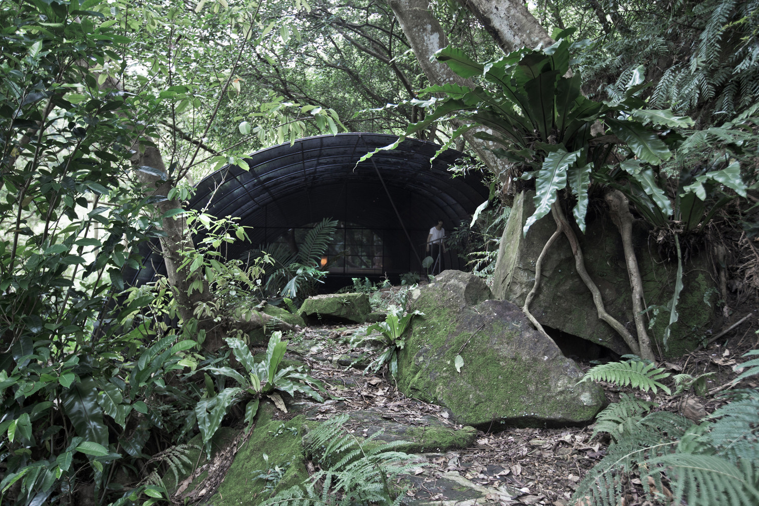 台湾自然治愈系空间设计---酷图编号1228928