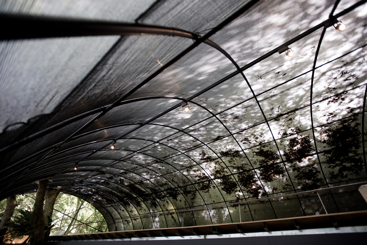 台湾自然治愈系空间设计---酷图编号1228943