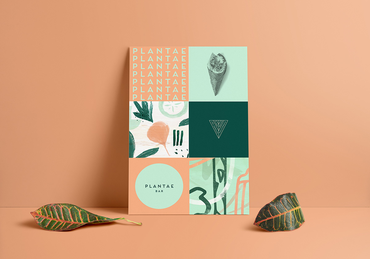 Plantae Bar-寿司美食品牌包装设计---酷图编号9
