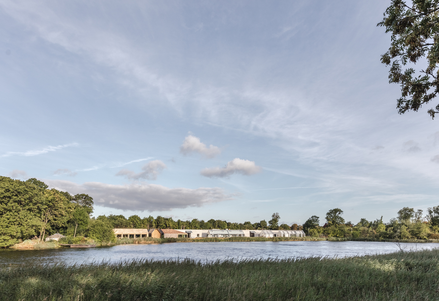 丹麦米其林庭院餐厅---酷图编号11