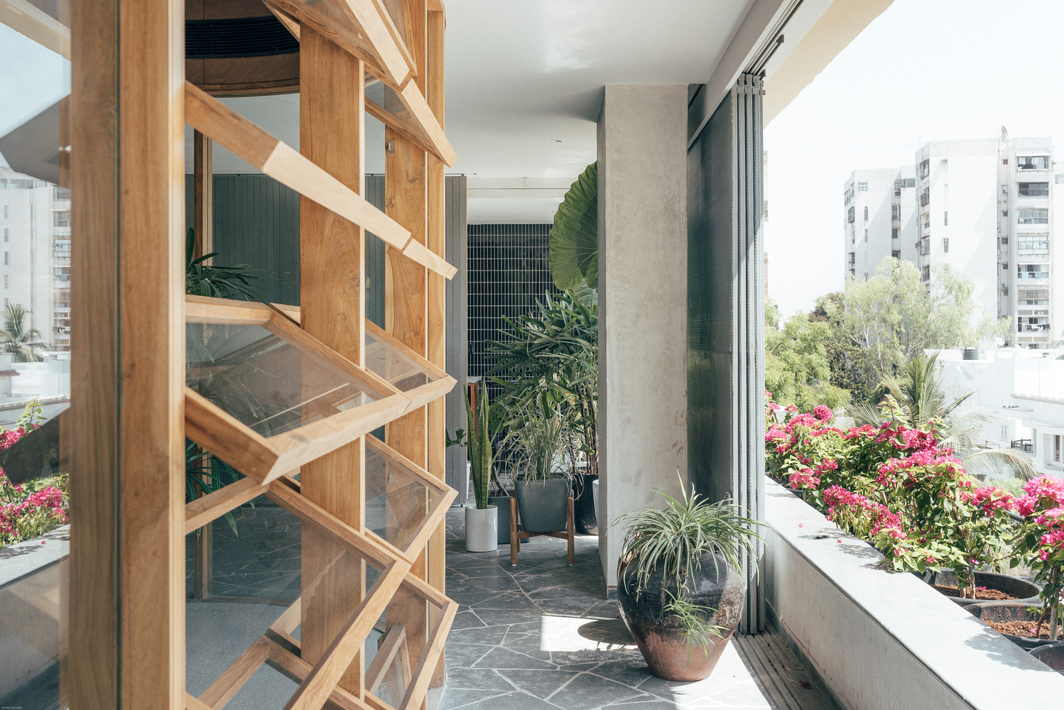 印度“巢”一般的办公空间设计---酷图编号1231249