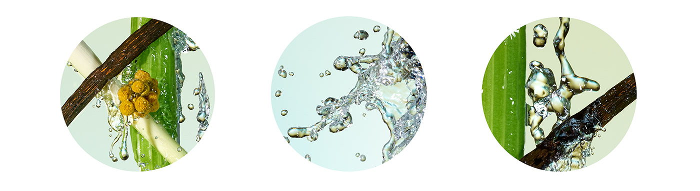 Canvas Bar-鸡尾酒会---酷图编号1238228