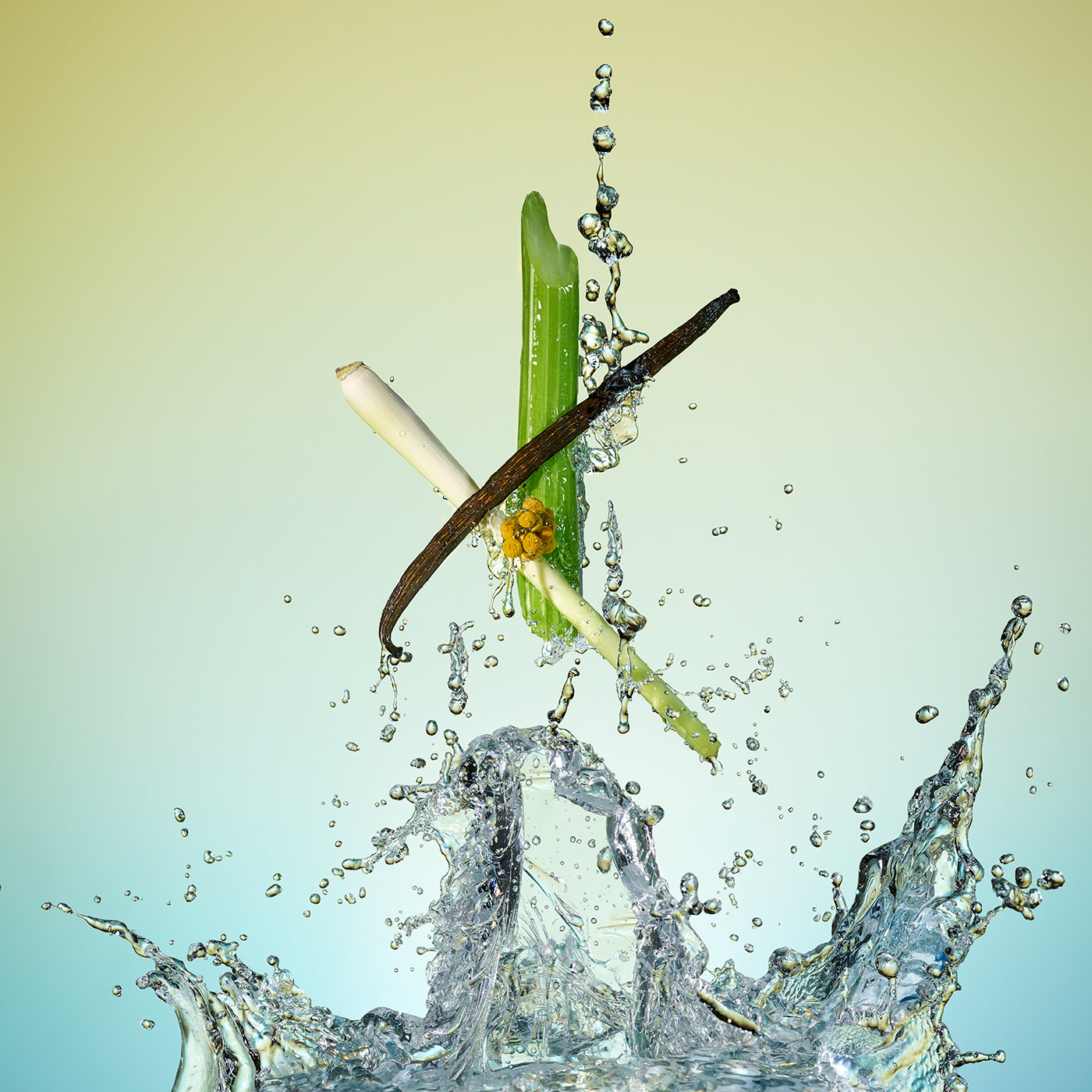 Canvas Bar-鸡尾酒会---酷图编号1238229