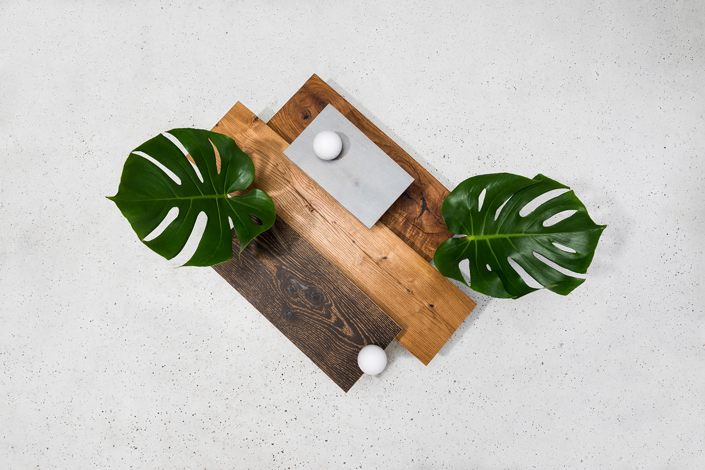 Brolis木材静物-每棵树都有它的故事---酷图编号1240105