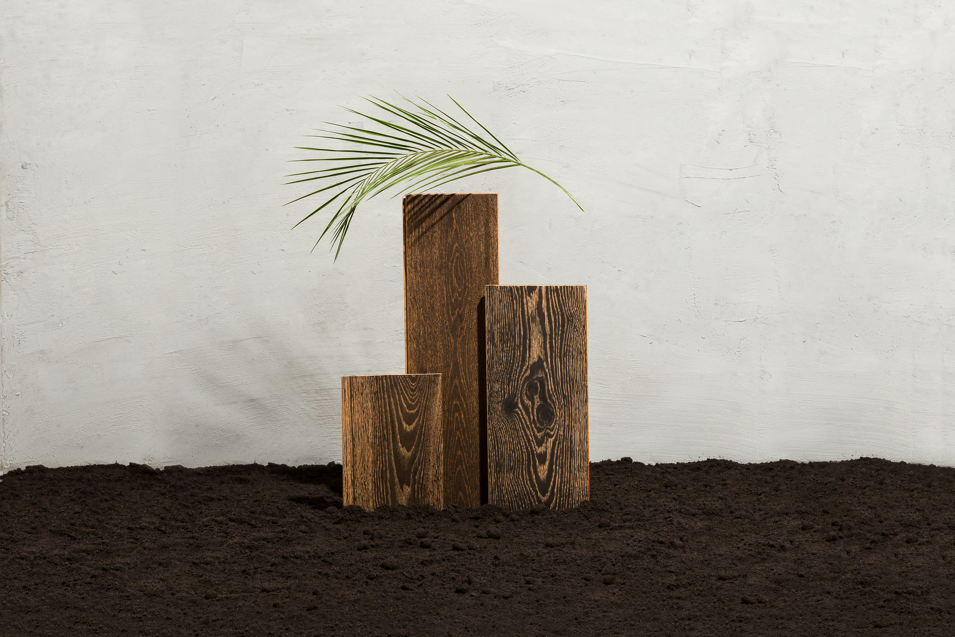 Brolis木材静物-每棵树都有它的故事---酷图编号1240110