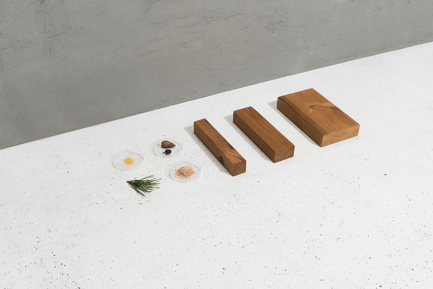 Brolis木材静物-每棵树都有它的故事---酷图编号1240112