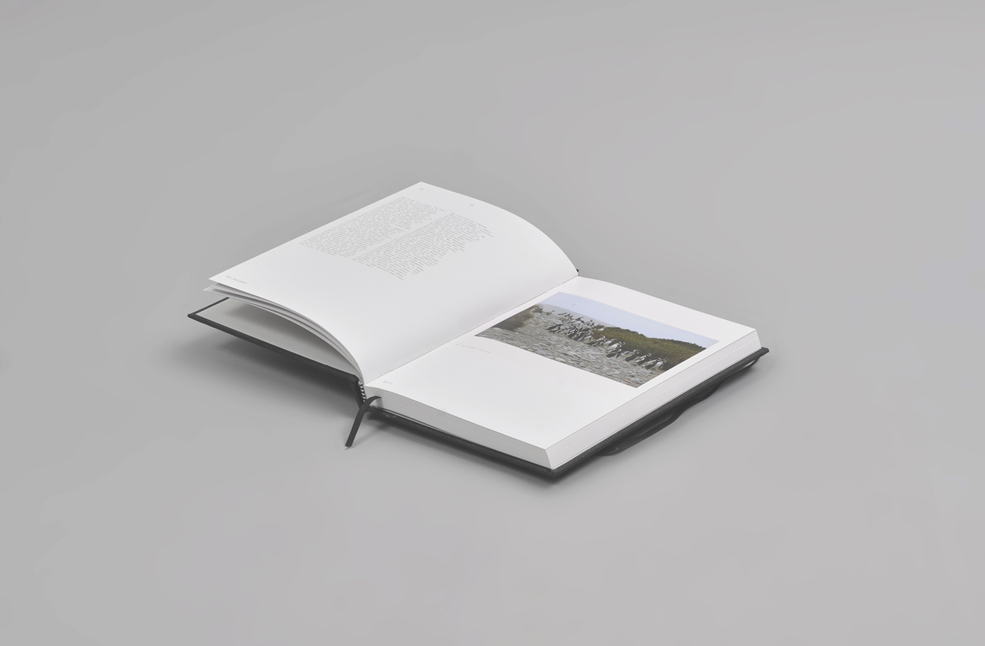 Route 40 Book-一本关于摄影师和他的家人画册---酷图编号11