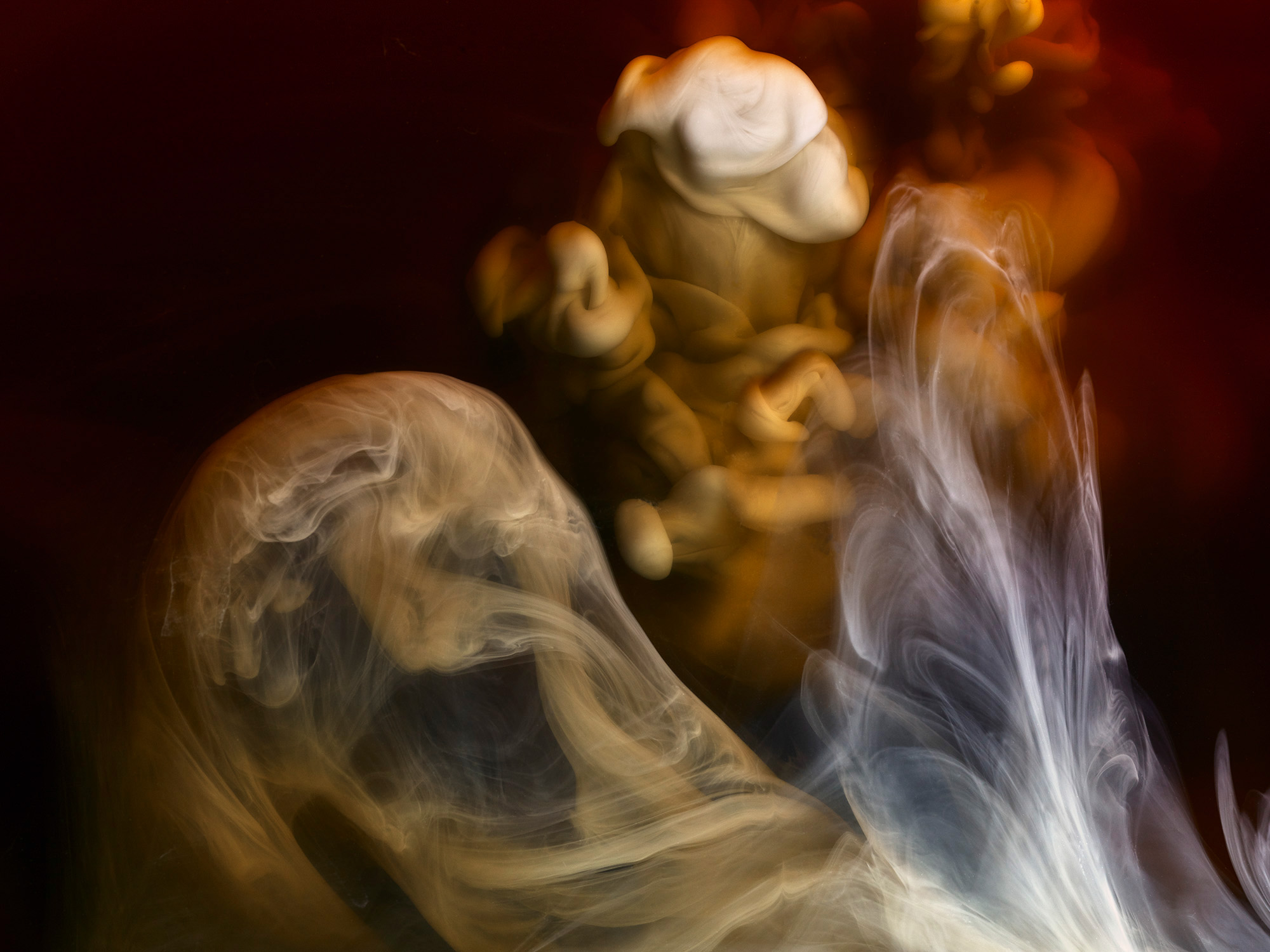 加牛奶的咖啡---酷图编号4