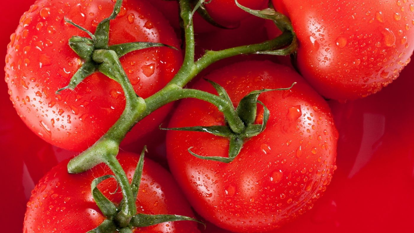 Pearl TomatoTM 白番茄萃取 ⏤ 無色類胡蘿蔔素 | 和聚國際生醫材料有限公司