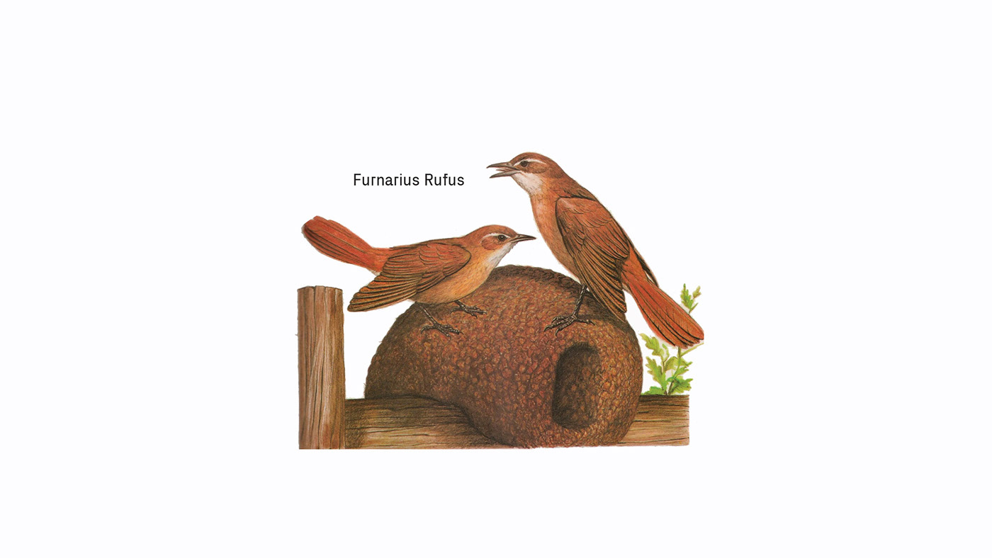 Furni-家具品牌设计---酷图编号1244317