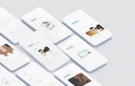 Petor-狗狗的远程医疗服务界面