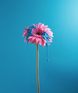 Dripping-探索花卉与滴水颜料的视觉