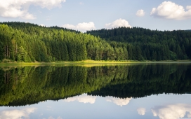 森林湖倒影美景
