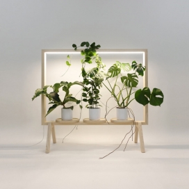 带来一点绿色的快乐盆景灯-有绿色窗户的办公室是工作场所中最令人垂涎的地方