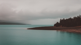 高清晰岸边树壁纸