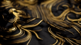 Vacuum Gold-真空金