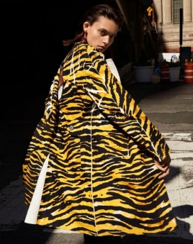 查理弗雷泽前线的尖峰时刻