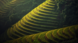 美丽的水稻梯田景观