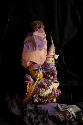 A Curious Mind-一个好奇的心灵,混合有机和无机成分的实验性食品雕塑