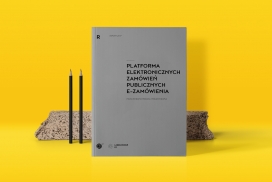 Annual Report-公共采购办公室的年度报告