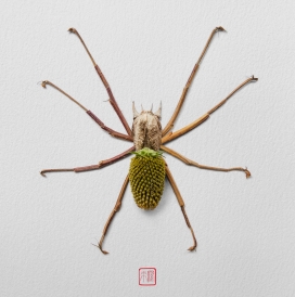 NATURA INSECTS 一系列手工制作的花卉昆虫