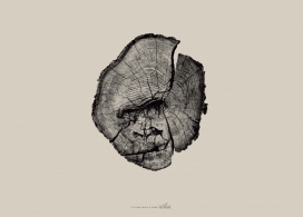 它不仅仅是一棵树-Asociación Reforesta国际生物多样性公益广告