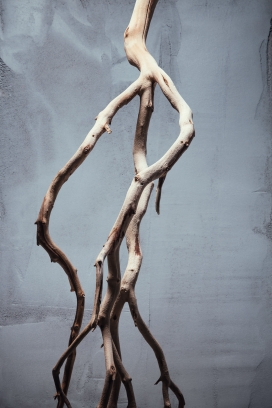 Intemporelle-烹饪艺术静物