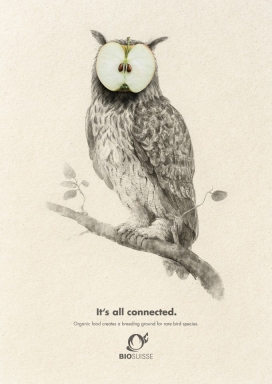 一切都是连通的，有机食品创造了动物以保持野生的空间