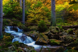 美丽的森林小溪瀑布
