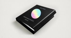 Dreamscapes品牌标识排版设计-灵感来自镜