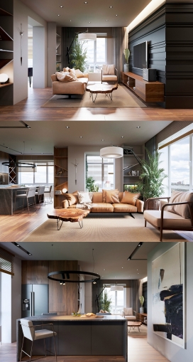 GYLLENHAAL-乌克兰68平方米小型公寓