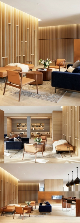 借鉴了加州现代主义的奥斯汀内饰公寓