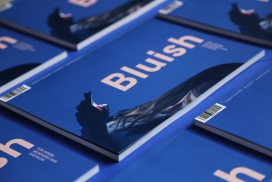 Bluish Magazin印刷在线杂志